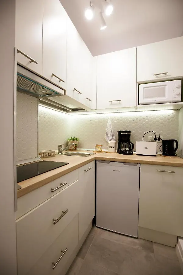 Ideal Studio 부쿠레슈티 아파트