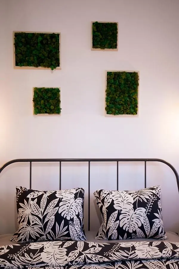 Ideal Studio Bucharest Romania